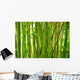 bamboo stalks Wall Mural