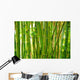bamboo stalks Wall Mural