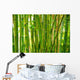 bamboo stalks Wall Mural