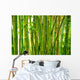 bamboo stalks Wall Mural
