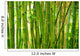 bamboo stalks Wall Mural