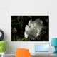 May Bush Macro Wall Mural