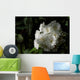 May Bush Macro Wall Mural