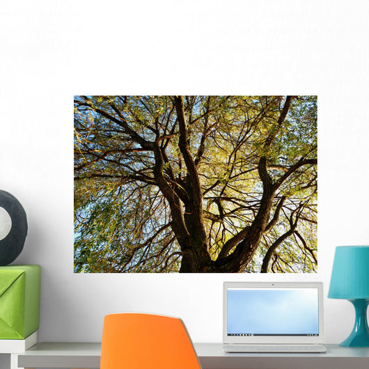 Tree Wall Mural