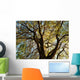 Tree Wall Mural
