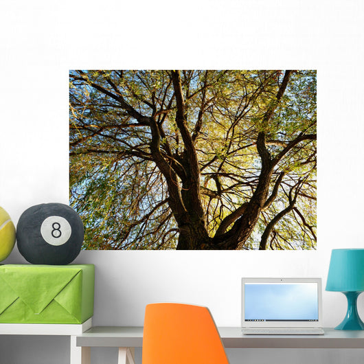 Tree Wall Mural