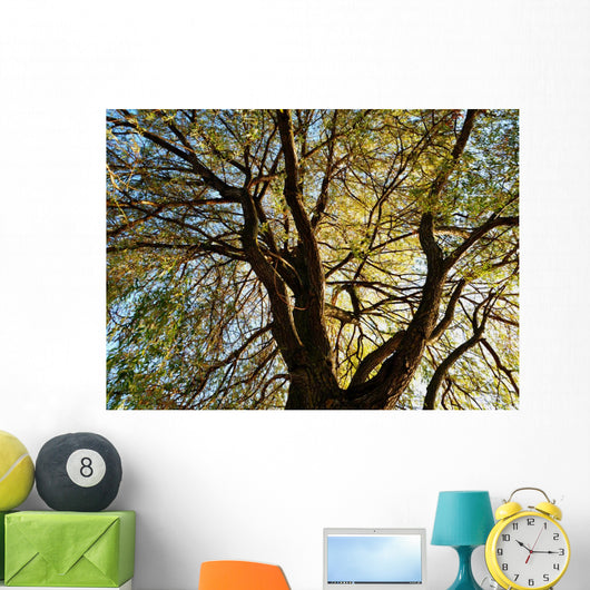 Tree Wall Mural