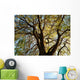 Tree Wall Mural