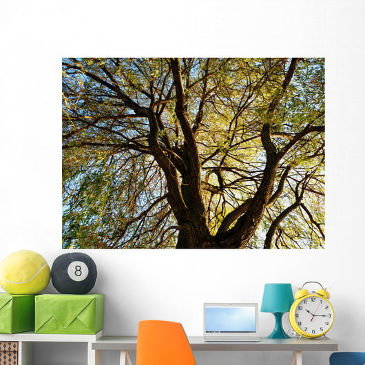 Tree Wall Mural
