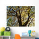 Tree Wall Mural