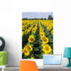 Tournesols Wall Decal