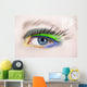 Macro Eye with False Wall Mural