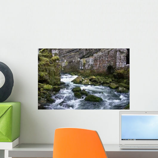 Source Wall Decal