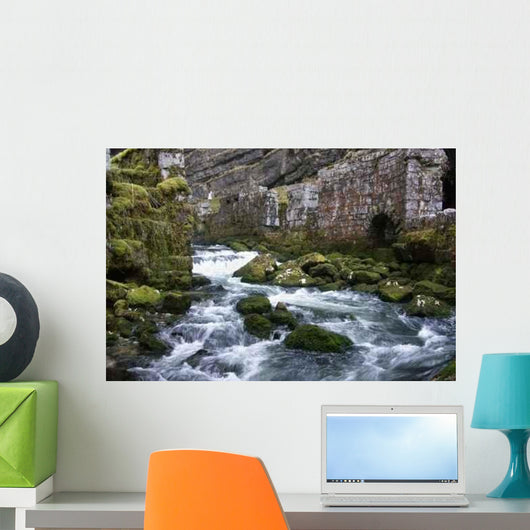 Source Wall Decal