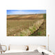 Landscape Wall Mural