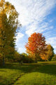 Autumn Wall Decal Design 1