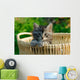 Kitten Woven Basket