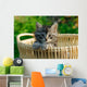 Kitten Woven Basket