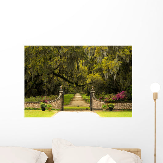 Plantation Wall Mural