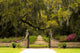 Plantation Wall Mural