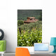 Typical Tuscan Landscape 