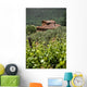 Typical Tuscan Landscape 