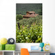 Typical Tuscan Landscape