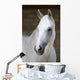 Pferd Schimmel Wall Mural