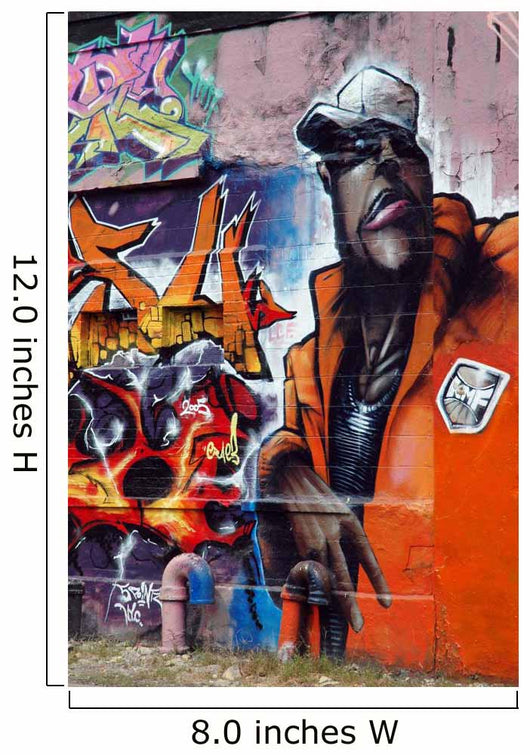 graffiti Wall Mural