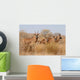 Roan Antelopes Wall Mural