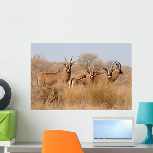 Roan Antelopes Wall Mural
