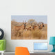 Roan Antelopes Wall Mural