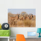 Roan Antelopes Wall Mural