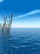 Water Plant V Wall Decal