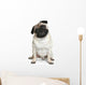 Funny Pug Puppy Sitting on White Background Wall Decal