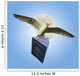 Bird Flying by Full Moon with American Passport Wall Mural