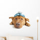 Sick Dog Wall Decal