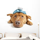 Sick Dog Wall Decal