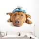Sick Dog Wall Decal