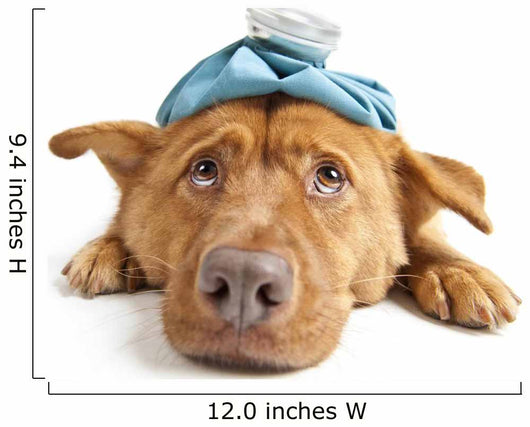 Sick Dog Wall Decal