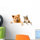Dog and Cat above