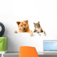 Dog and Cat above