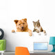 Dog and Cat above
