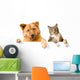 Dog and Cat above