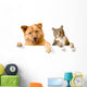 Dog and Cat above