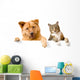 Dog and Cat above