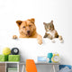 Dog and Cat above