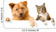 Dog and Cat above