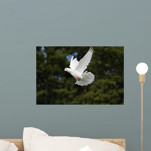 White Dove Flying Wall Mural