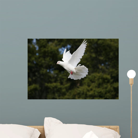 White Dove Flying Wall Mural